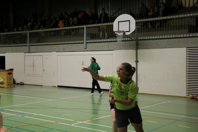 2016_01_17 Landesliga Frauen